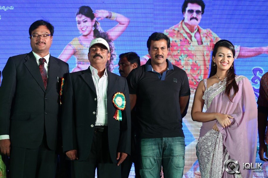Bheemavaram-Bullodu-Platinum-Disc-Function